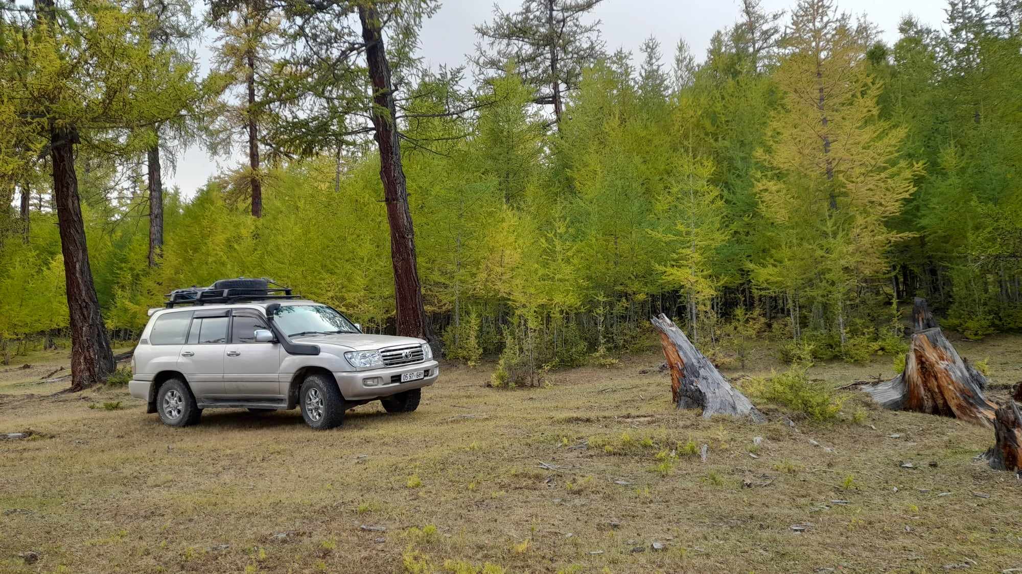 Албан байгууллага болог хувь хүнд land 100 машинаар үйлчилнэ  99426104